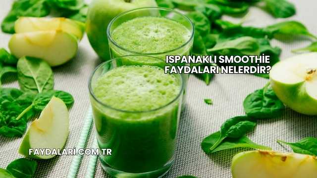 Ispanaklı Smoothie Faydaları Nelerdir?