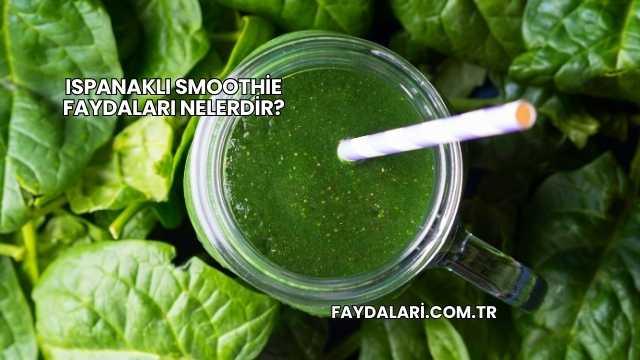 Ispanaklı Smoothie Faydaları Nelerdir?