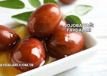 Jojoba Yağı Faydaları