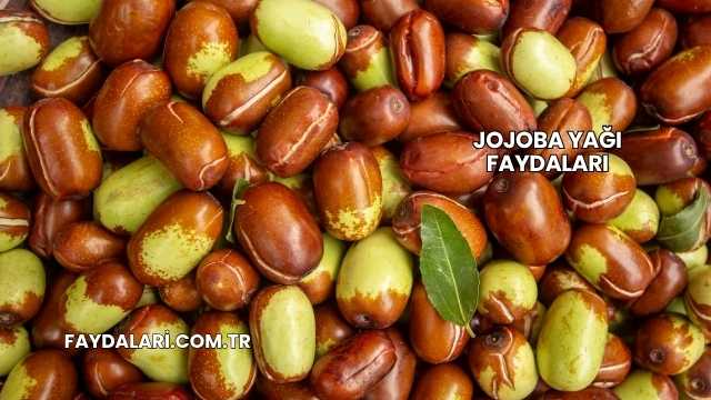 Jojoba Yağı Faydaları