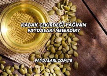 Kabak Çekirdeği Yağının Faydaları Nelerdir?