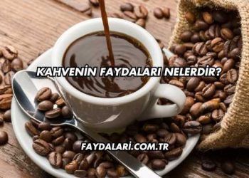 Kahvenin Faydaları Nelerdir?