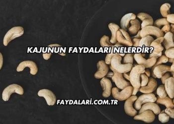 Kajunun Faydaları Nelerdir?