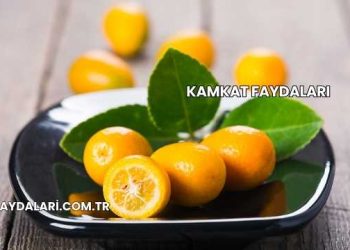 Kamkat Faydaları