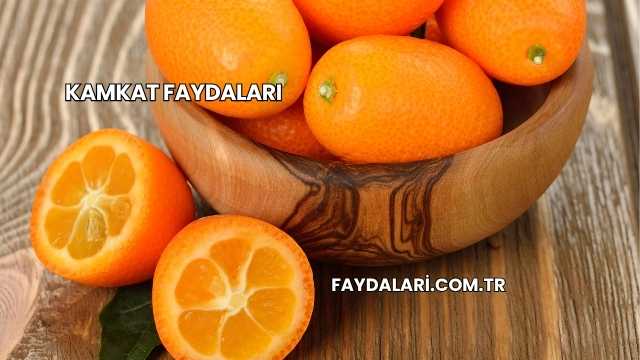 Kamkat Faydaları