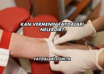 Kan Vermenin Faydaları Nelerdir?
