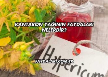 Kantaron Yağının Faydaları Nelerdir?