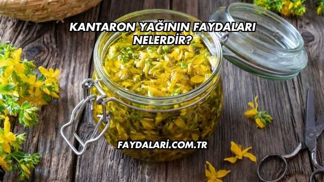 Kantaron Yağının Faydaları Nelerdir?