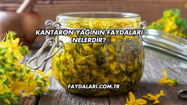 Kantaron Yağının Faydaları Nelerdir?