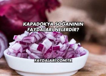 Kapadokya Soğanının Faydaları Nelerdir?