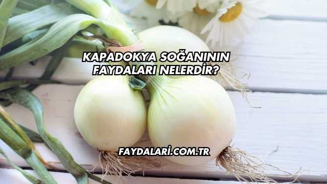 Kapadokya Soğanının Faydaları Nelerdir?