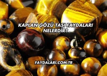 Kaplan Gözü Taşı Faydaları Nelerdir?