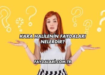 Kara Halilenin Faydaları Nelerdir?