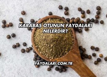 Karabaş Otunun Faydaları Nelerdir?