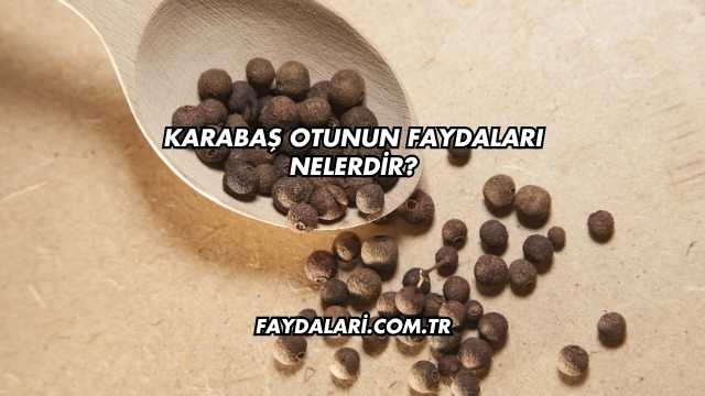 Karabaş Otunun Faydaları Nelerdir?
