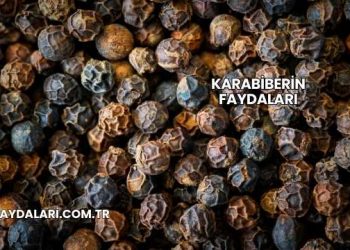 Karabiberin Faydaları