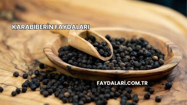 Karabiberin Faydaları