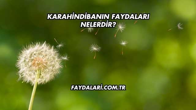 Karahindibanın Faydaları Nelerdir?