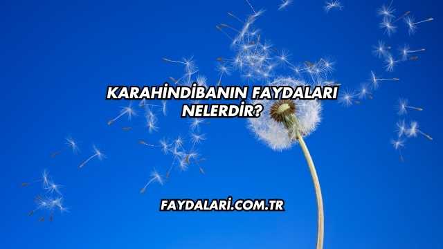 Karahindibanın Faydaları Nelerdir?