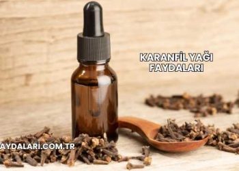 Karanfil Yağı Faydaları