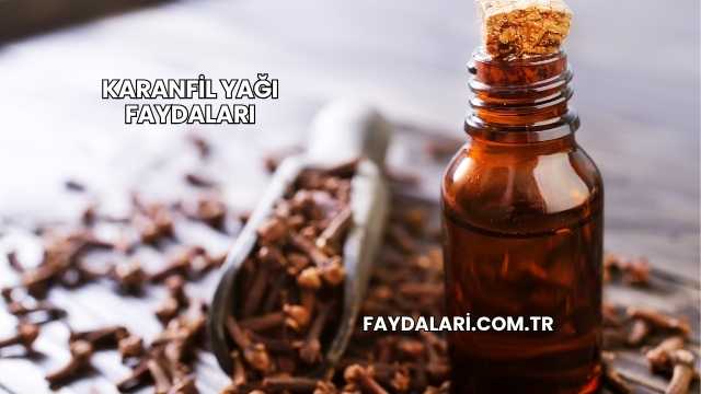 Karanfil Yağı Faydaları