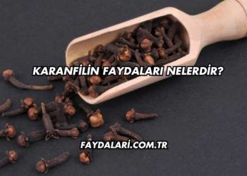 Karanfilin Faydaları Nelerdir?