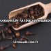 Karanfilin Faydaları Nelerdir?