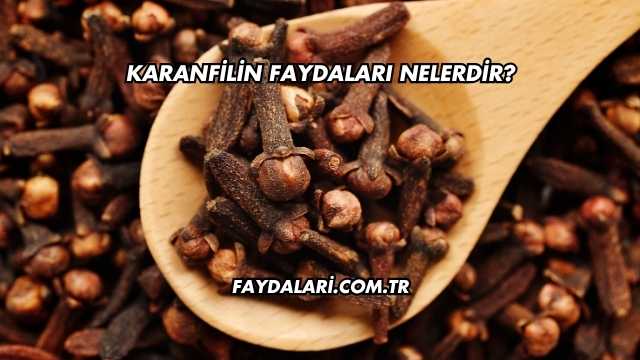 Karanfilin Faydaları Nelerdir?