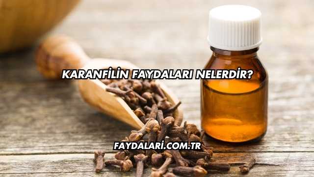 Karanfilin Faydaları Nelerdir?