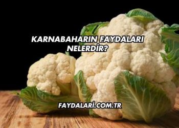 Karnabaharın Faydaları Nelerdir?