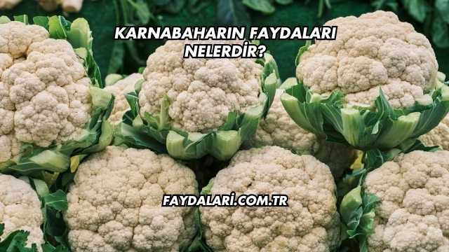 Karnabaharın Faydaları Nelerdir?