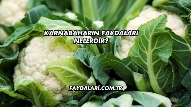Karnabaharın Faydaları Nelerdir?