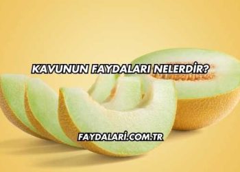 Kavunun Faydaları Nelerdir?
