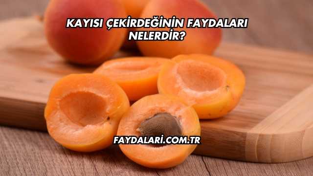 Kayısı Çekirdeğinin Faydaları Nelerdir?