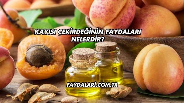 Kayısı Çekirdeğinin Faydaları Nelerdir?