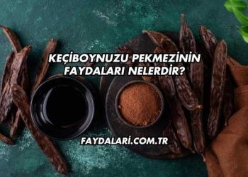 Keçiboynuzu Pekmezinin Faydaları Nelerdir?