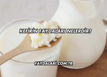 Kefirin Faydaları Nelerdir?