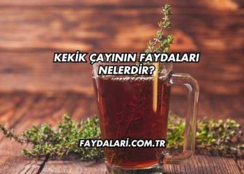 Kekik Çayının Faydaları Nelerdir?
