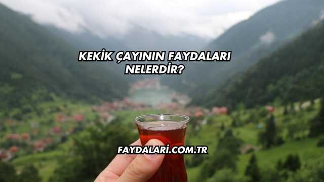Kekik Çayının Faydaları Nelerdir?