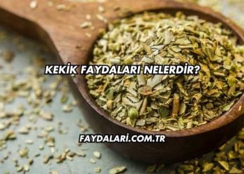 Kekik Faydaları Nelerdir?