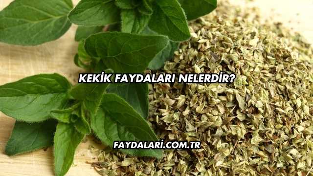Kekik Faydaları Nelerdir?