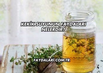 Kekik Suyunun Faydaları Nelerdir?