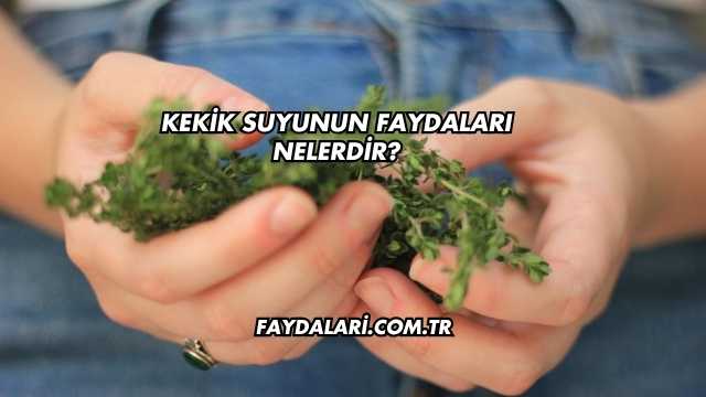 Kekik Suyunun Faydaları Nelerdir?