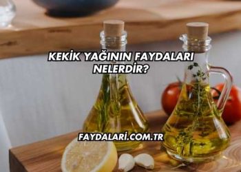 Kekik Yağının Faydaları Nelerdir?