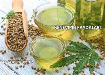 Kenevirin Faydaları