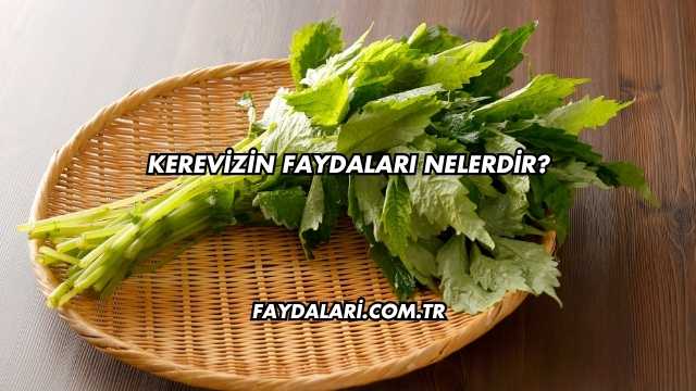Kerevizin Faydaları Nelerdir?