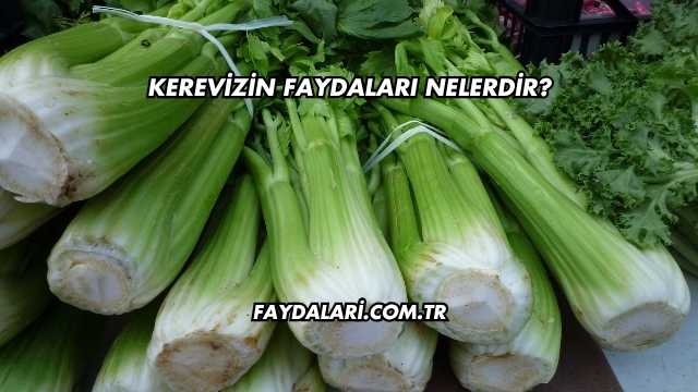 Kerevizin Faydaları Nelerdir?