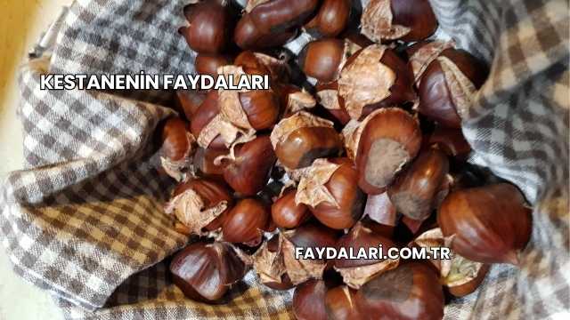 Kestanenin Faydaları
