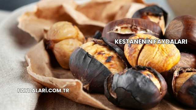 Kestanenin Faydaları