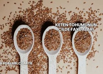 Keten Tohumunun Cilde Faydaları